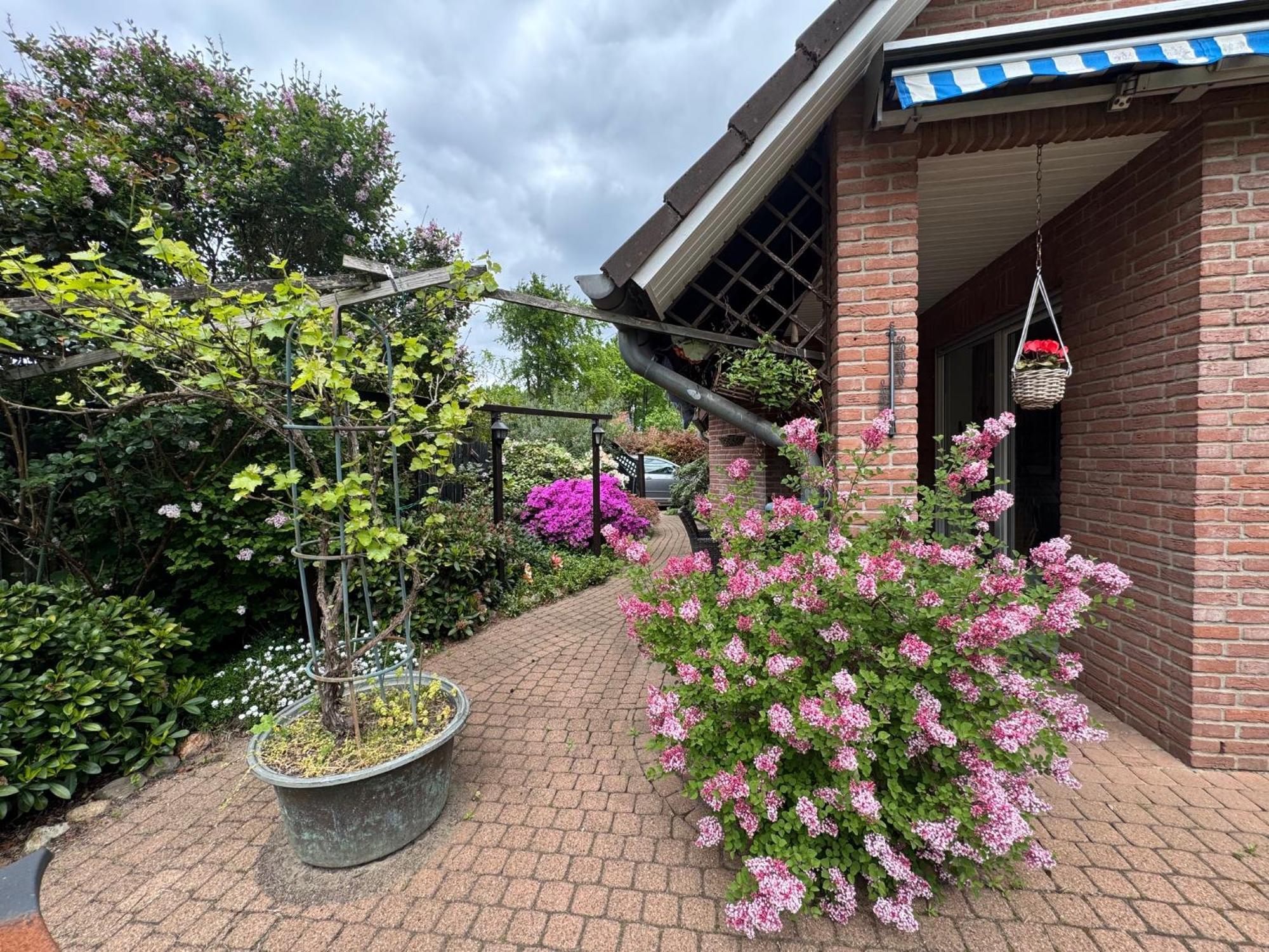 Rhododendron Bliss *